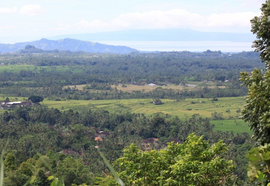 picture-Bukit Demulih