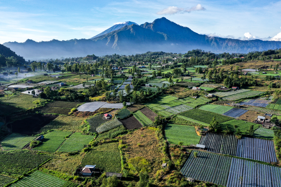 Kintamani
