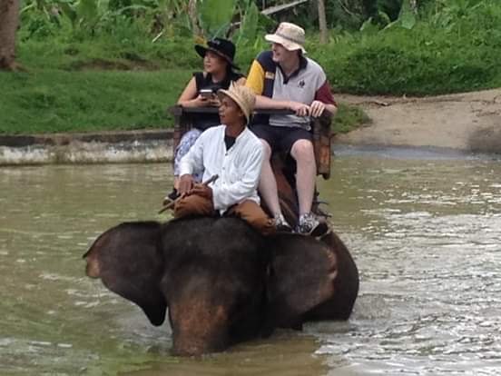 Elephant Ride