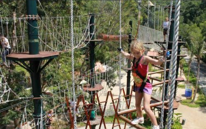 Bali Treeptop Adventure