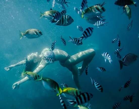 Snorkling Package